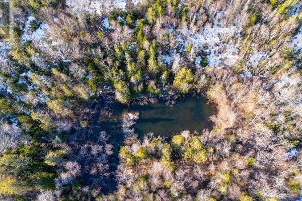 850 Gospel Road, (portion Of), West Glenmont, NS B0P1H0 Photo 3