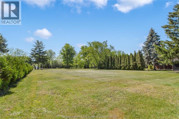 8505 Water Street, Cedar Springs, ON N0P1E0 Photo 5