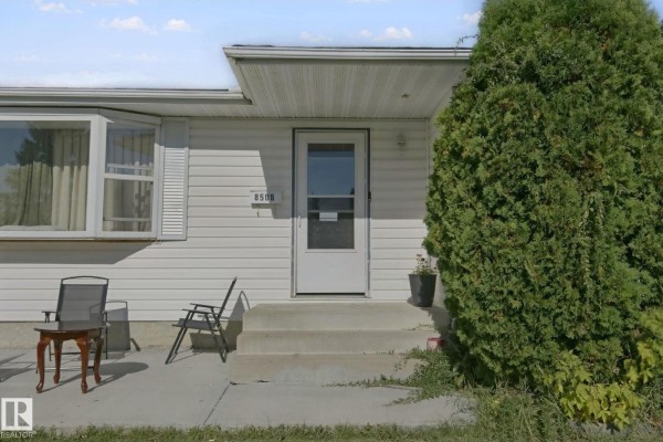 Close-up of the front door of a white bungalow, with concrete steps and a large evergreen tree. - 8508 149a Av Nw, Edmonton