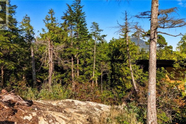 851 Lorne White Pl, Ucluelet, BC, photo 3