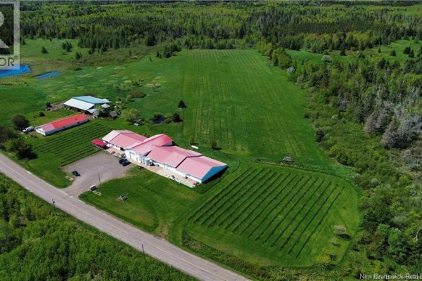 851 Route 970, Baie Verte, NB E4M1Y3 Photo 4
