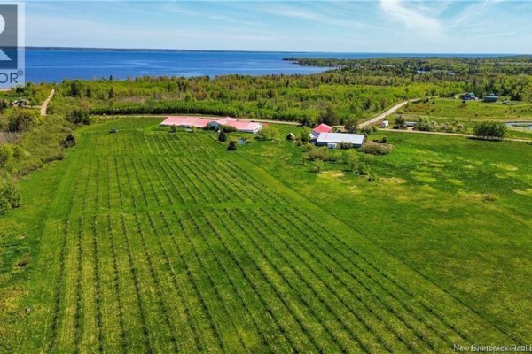 851 Route 970, Baie Verte, NB E4M1Y3 Photo 5