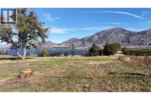 8522 98th Avenue, Osoyoos, BC V0H1V2 Photo 4
