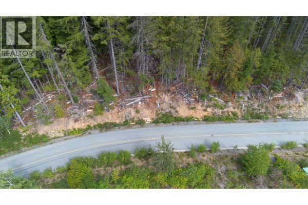 8566 Ashleigh Mcivor Drive, Whistler, BC, photo 3