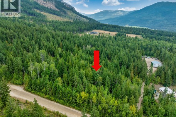 8568 Black Mountain Road, Chase, BC V0E1M0 Photo 4