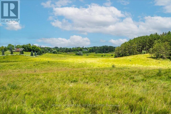 8575 Patterson Side Road, Caledon, ON L7E0J5 Photo 4