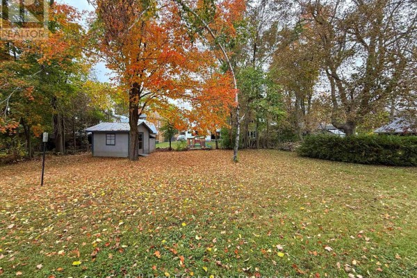 Backyard with a small grey shed, mature trees, and fallen autumn leaves on the grass. - 86 Albert Street, Selwyn