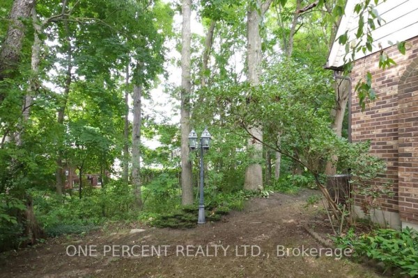 Family room - 86 Haliburton Road, London South, ON N6K3C4 Photo 5