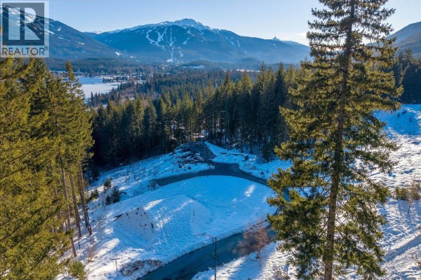 8611 Maelle Ricker Lane, Whistler, BC V8E1L9 Photo 2