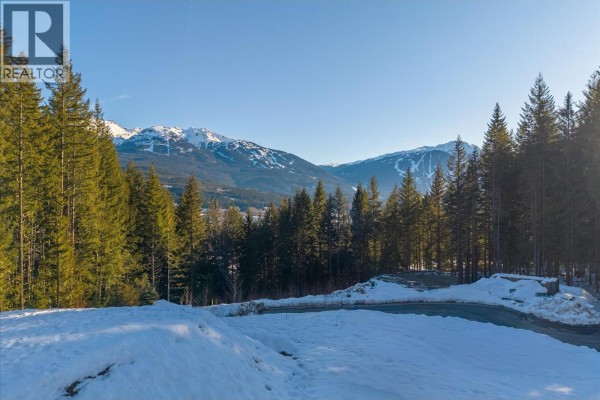 8611 Maelle Ricker Lane, Whistler, BC V8E1L9 Photo 3