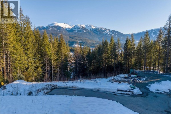 8611 Maelle Ricker Lane, Whistler, BC V8E1L9 Photo 4