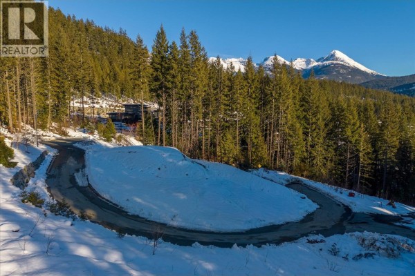 8611 Maelle Ricker Lane, Whistler, BC V8E1L9 Photo 5