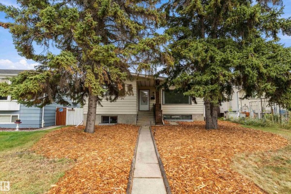 Kitchen - 8612 30 Av Nw Nw, Edmonton, AB T6K2X7 Photo 3