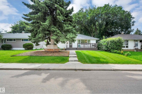 Street view of a white bungalow with a lawn, walkway, and mature trees on a cloudy day. - 8615 66 Av Nw, Edmonton