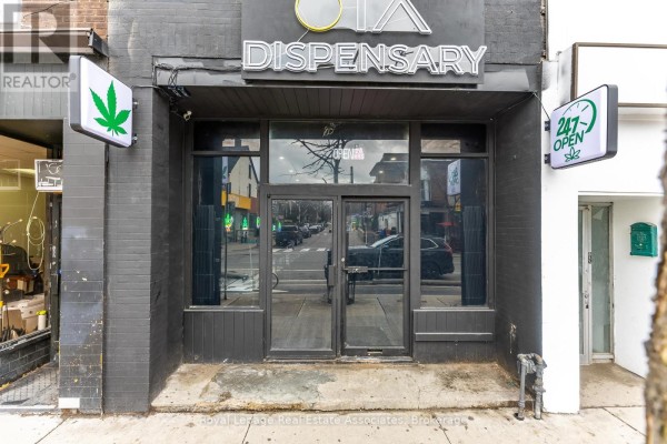 863 Bloor Street W, Toronto, ON M6G1M4 Photo 5