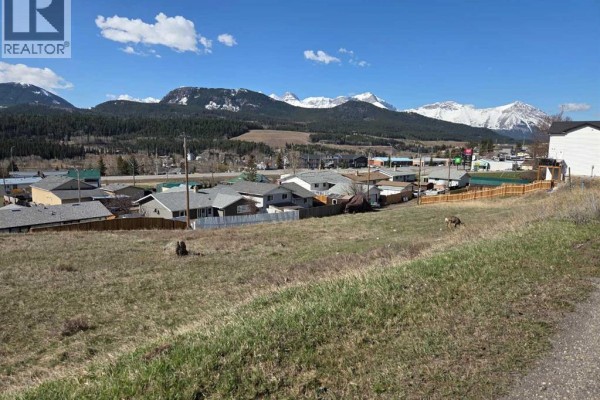 8630 21st Avenue, Coleman, AB T0K0M0 Photo 5