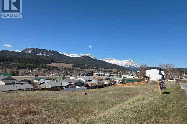 8634 21st Avenue, Coleman, AB T0K0M0 Photo 4