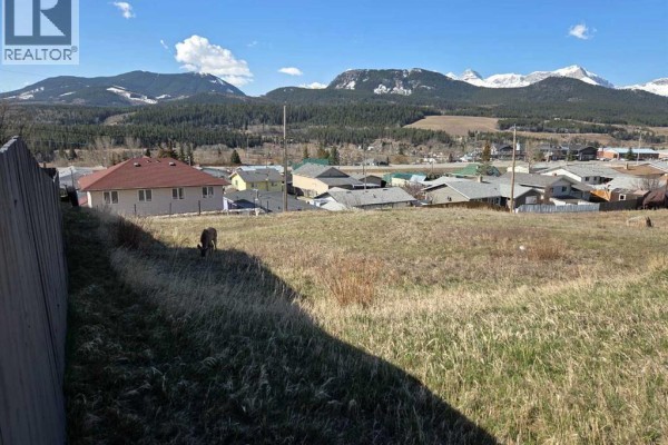 8634 21st Avenue, Coleman, AB T0K0M0 Photo 5