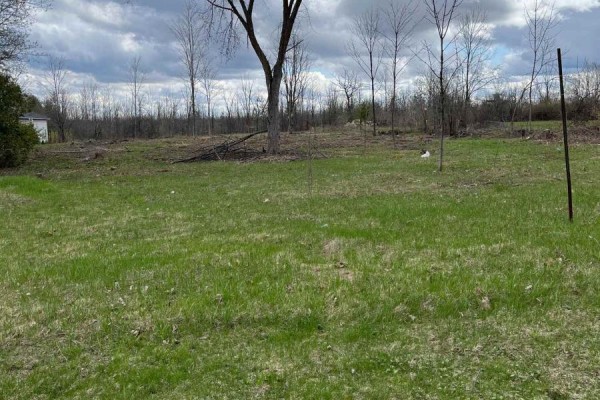 Grassy field with scattered young trees and bare branches, with a cloudy sky overhead and bordering vegetation. - 8645 Bank Street, Ottawa