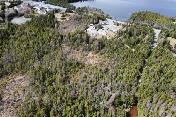 865 Thorburn Road, Portugal Cove St  Philips, NL A1B4R1 Photo 5