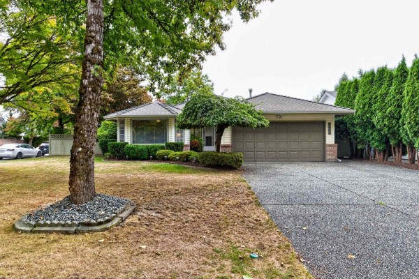 8662 161 Street, Surrey, BC V4N1B1 Photo 3