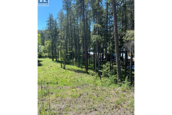 View of a wooded property with a grassy clearing and scattered evergreen trees under a bright blue sky. - 867 Balsam Road, Kelowna
