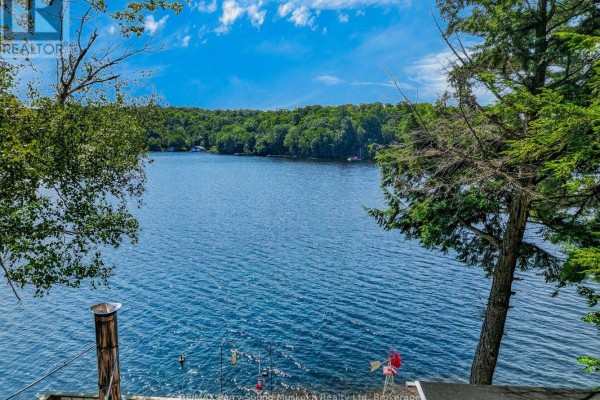 Lakefront property with trees, dock, and chimney - 87 Millies Road Seguin