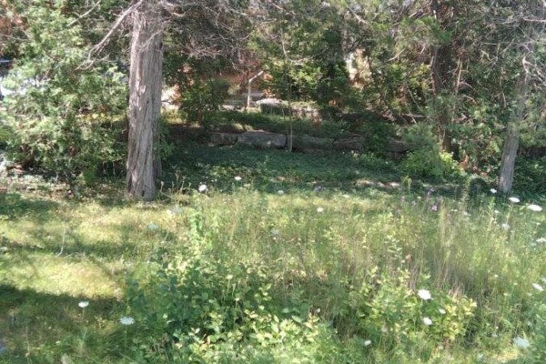 87 Navigators Trail, Kawartha Lakes, ON K0M1A0 Photo 3