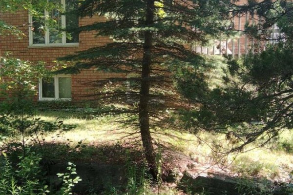 87 Navigators Trail, Kawartha Lakes, ON K0M1A0 Photo 4