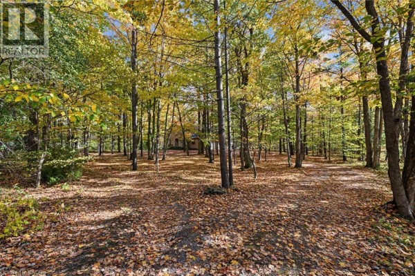 Bonus Room - 872 6th Conc Road W, Flamborough, ON L8B1M9 Photo 3