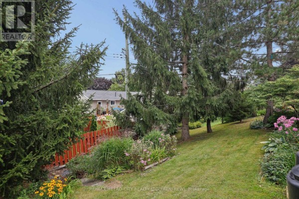 Backyard with pine trees and red fence - 876 Hillsview Street Renfrew