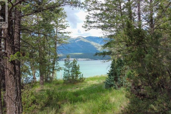 8785 Grainger Road, Canal Flats, BC V0B1B0 Photo 5