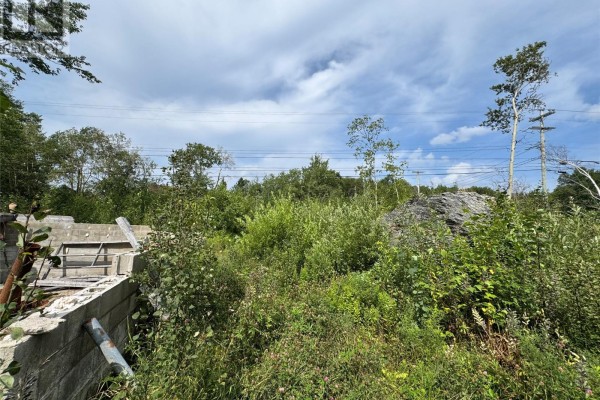88 Main Street, Sandringham, NL, photo 3