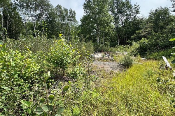 88 Main Street, Sandringham, NL A0G3Y0 Photo 4
