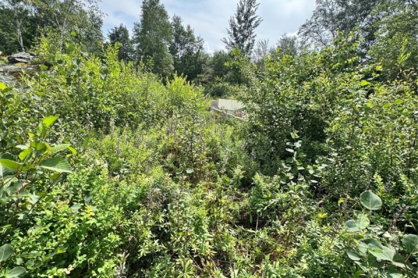 88 Main Street, Sandringham, NL A0G3Y0 Photo 5