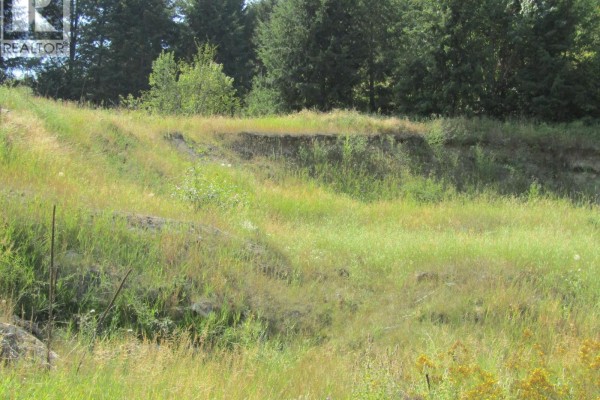 8841 Riverside Drive, Grand Forks, BC V0H1H0 Photo 3