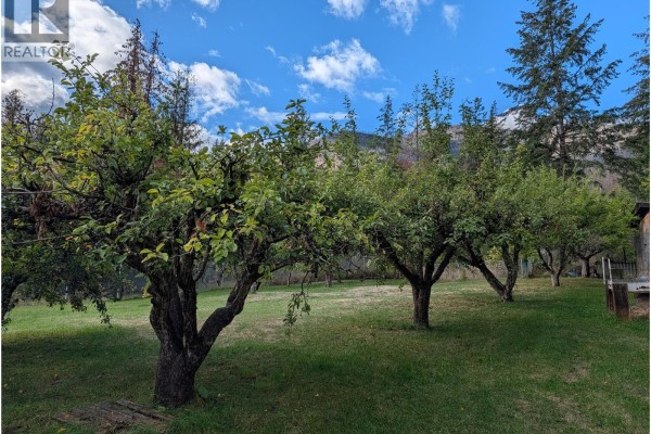 Mature fruit trees with green leaves in a grassy yard on a cloudy day. - 8893 Holding Road, Adams Lake