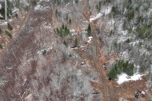 Aerial view of a wooded property with snow patches and scattered vehicles. - 89 Lebel Road, Anfield