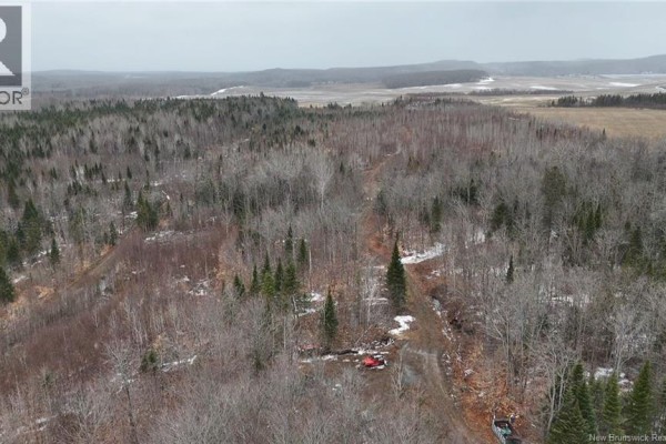 Overhead view of a rural landscape with trees, fields, and a dirt road. - 89 Lebel Road, Anfield