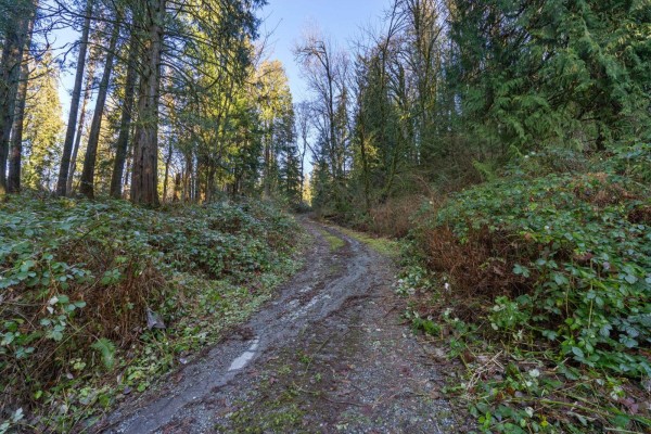 8904 Manzer Street, Mission, BC V4S1H6 Photo 5
