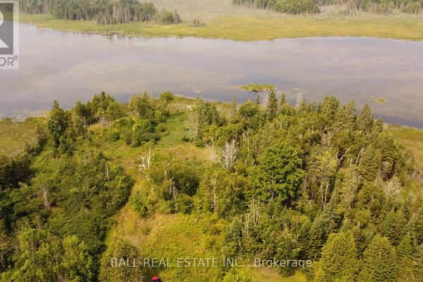 892 County Rd 40, Douro Dummer, ON, photo 2