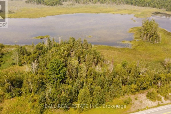 892 County Rd 40, Douro Dummer, ON, photo 3