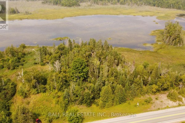 Drone view of the land featuring trees, brush, and a road. - 892 County Rd 40, Douro Dummer