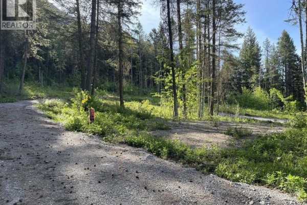 893 Crandall Road, Golden, BC V0A1H2 Photo 3