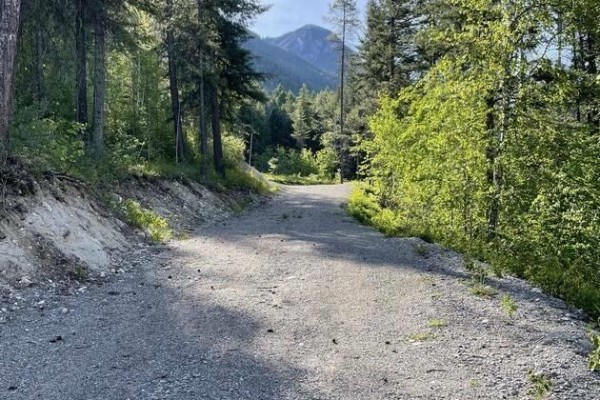 893 Crandall Road, Golden, BC V0A1H2 Photo 4