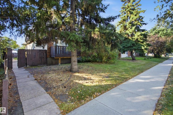 Bedroom 2 - 8945 78 Av Nw, Edmonton, AB T6C0N7 Photo 5