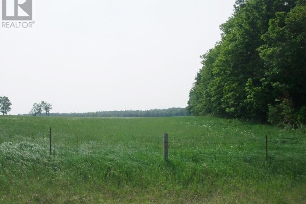 8949 Wellington Rd 22, Erin, ON, photo 3