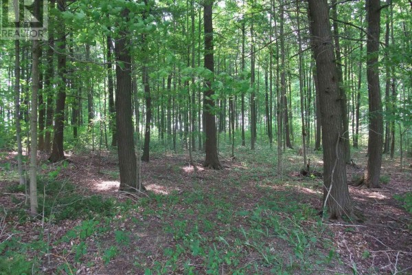 8949 Wellington Rd 22, Erin, ON N0B1Z0 Photo 4