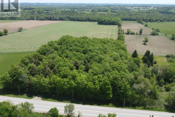 8949 Wellington Rd 22, Erin, ON N0B1Z0 Photo 5