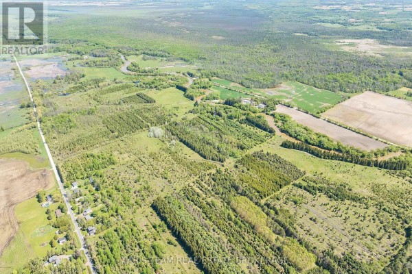 8971 Mckinnon Road, Essa, ON L0M1B4 Photo 4